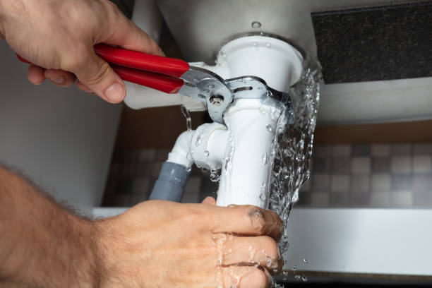 Best Ceiling water damage repair  in Pasadena Hills, MO