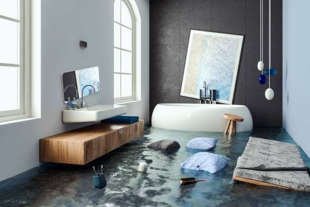 Best Water damage cleanup near me  in Pasadena Hills, MO