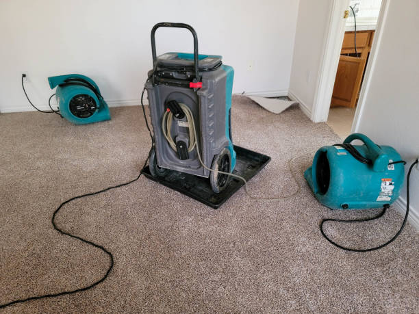 Best Water damage contractors near me  in Pasadena Hills, MO