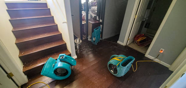Best Ceiling water damage repair  in Pasadena Hills, MO