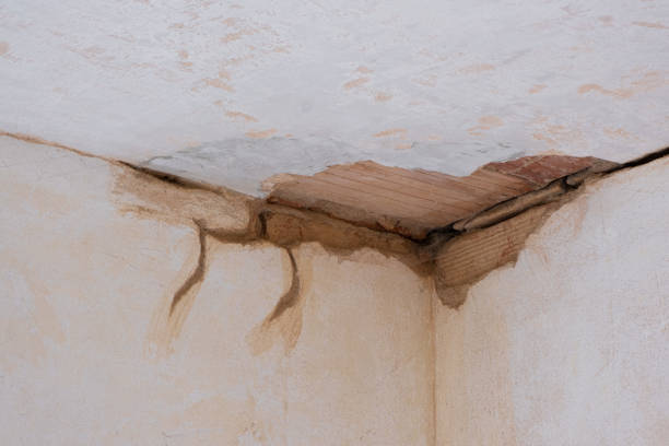Trusted Pasadena Hills, MO Water damage restoration Experts