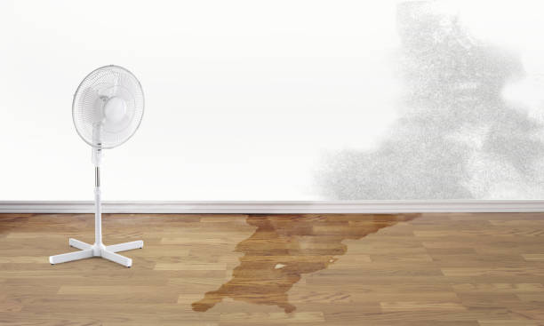 Water damage restoration mold remediation in Pasadena Hills, MO