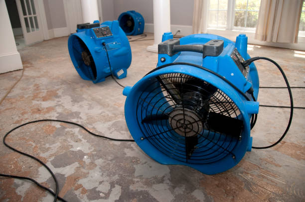 Best 24/7 water damage repair  in Pasadena Hills, MO
