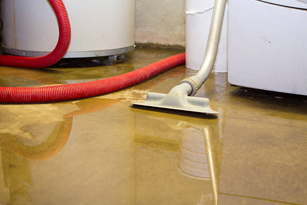 Best Water damage restoration specialists  in Pasadena Hills, MO